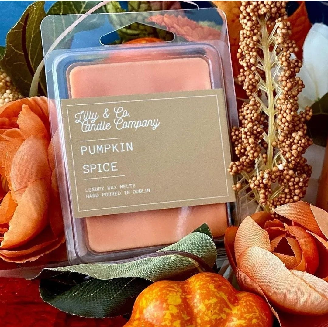 Pumpkin Spice 》 Luxury Wax Melt